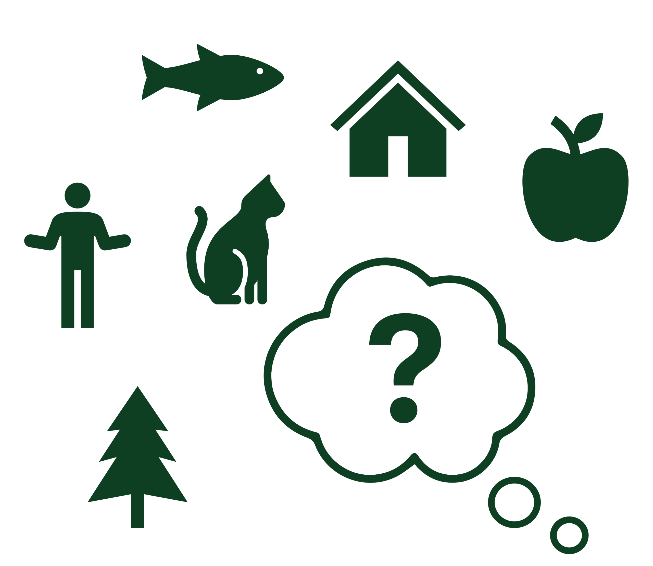Icons of a house, apple, fish, tree, person, and cat around a question mark, representing recognizing concepts across new experiences