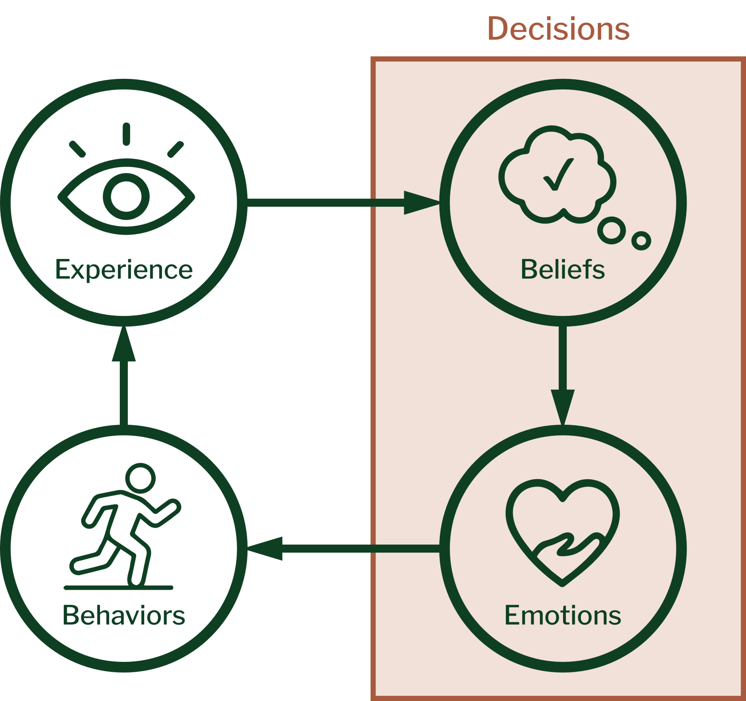The processing cycle with the decision stage highlighted: Experience through our senses leads to Beliefs, Beliefs to Emotions, and Emotions to Behaviors, which creates our next experience. Beliefs and Emotions together form our Decisions.