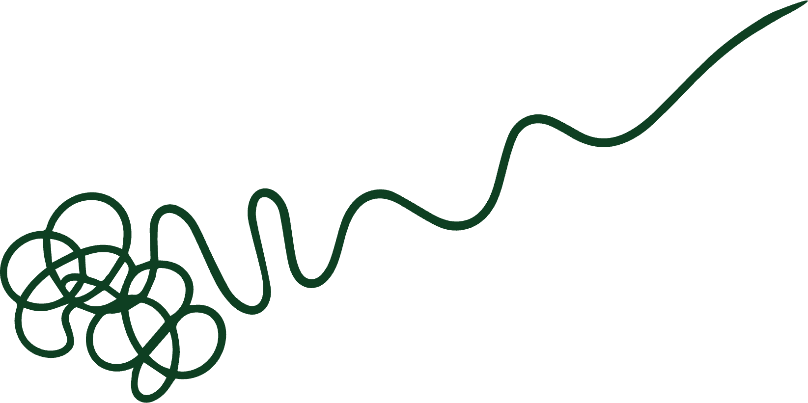 A tangled green scribble unwinding into a smooth rising line, the illustration used on the book covers