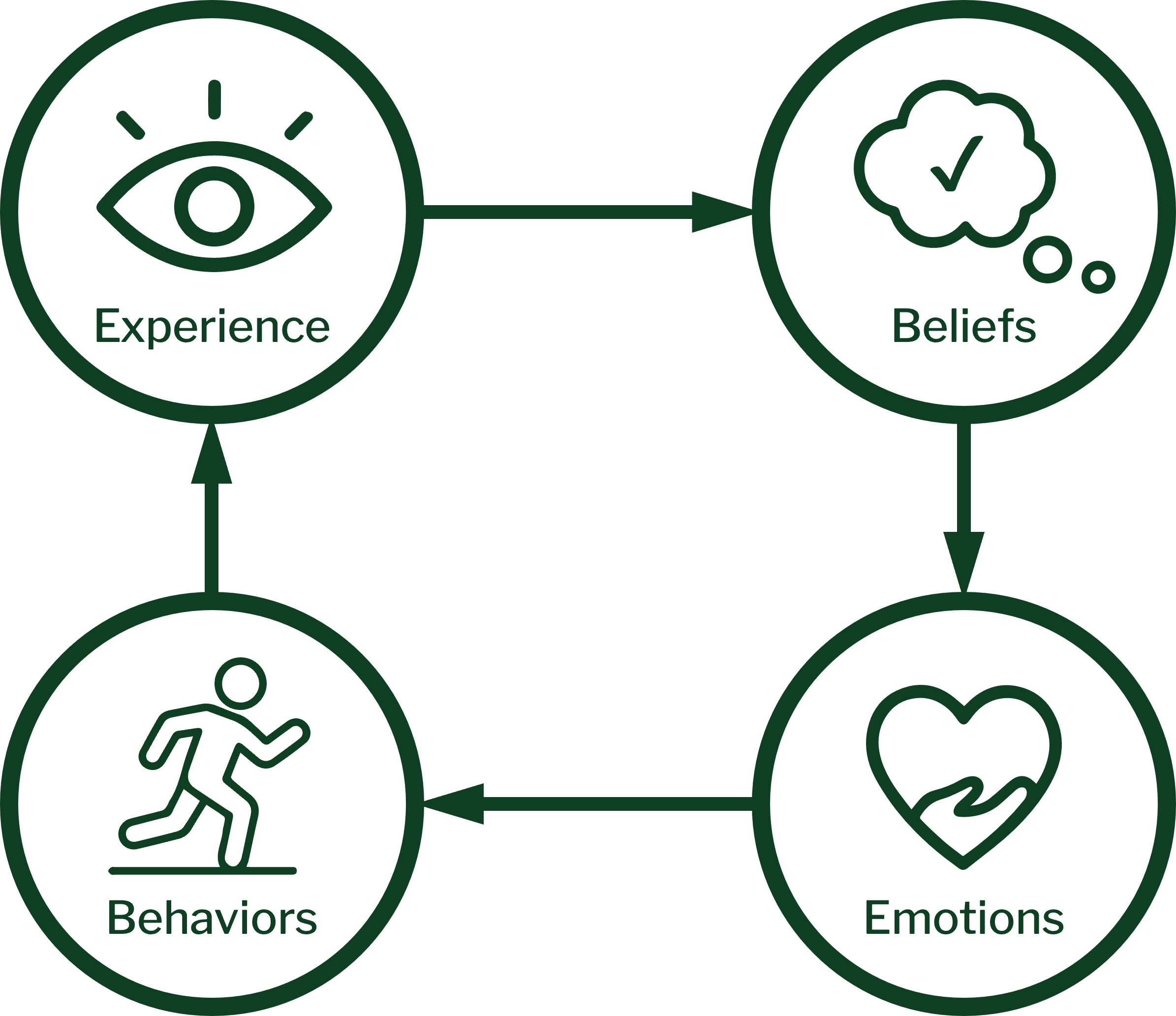 The processing cycle: Experience leads to Beliefs, Beliefs to Emotions, Emotions to Behaviors, and Behaviors back to Experience