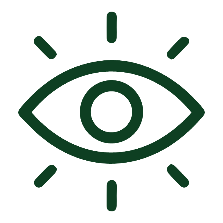 An eye with radiating lines, the icon for Mindfulness